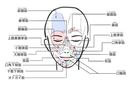 表情筋研究所「表情筋実態調査2021」 一番鍛えたい表情筋１位はお口周りの「口輪筋（こうりんきん）」
